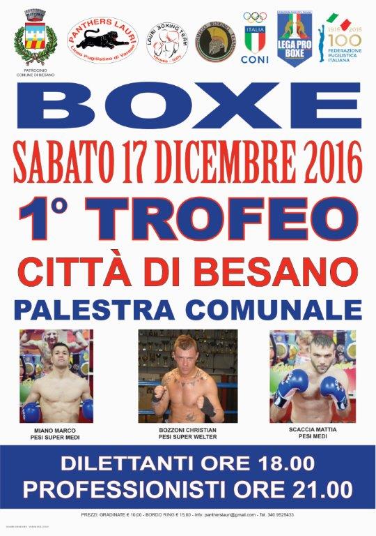 20161217 Besano